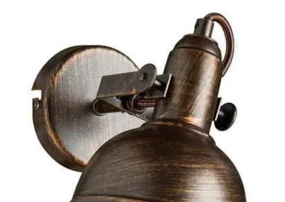 Спот Arte Lamp Martin A5213AP-1BR