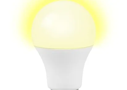 Лампа cветодиодная для освещения беседок Jazzway E27 10W матовая 5008960