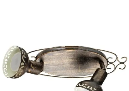 Спот Arte Lamp Focus A5219AP-2BR