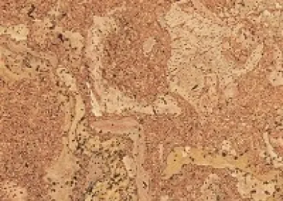 CORKSTYLE EcoCork Madeira  (Клеевое соединение)