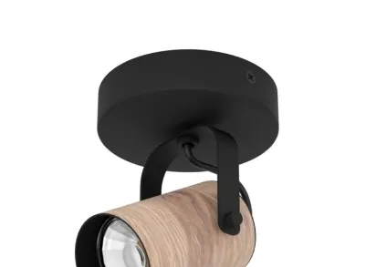 Спот Eglo Cayuca 900436