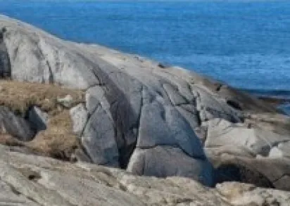 Плитка Панно Faro-3 B 50x60