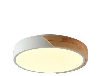 Потолочный светильник Zortes ALBERRO ZRS.01289.24