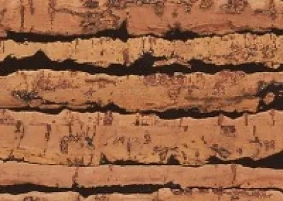 CORKSTYLE NaturalCork Tigre  (Замковое соединение)