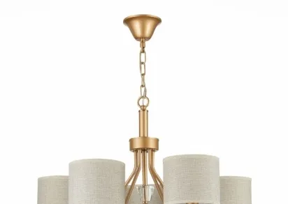 Подвесная люстра Evoluce Vilede SLE107003-05