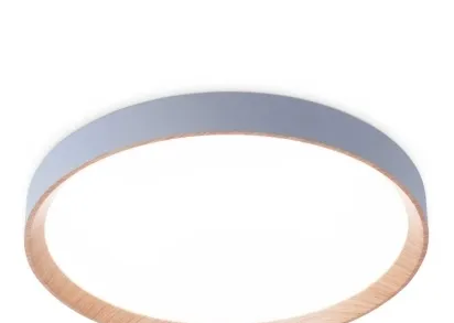 Потолочный светодиодный светильник Ambrella light Orbital Design FZ1322