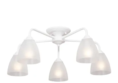 Потолочная люстра Vitaluce V3946-0/5PL