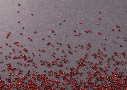 Обои Loymina Королева SDR5-022