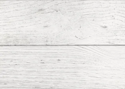 Плитка GT12VG San Remo Белый 50x25