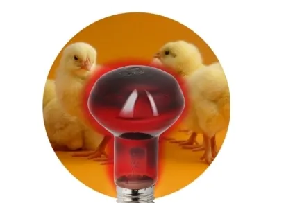 Лампа инфракрасная ЭРА E27 60 Вт для обогрева животных и освещения ИКЗК 230-60 Вт R63 Е27 Б0057281