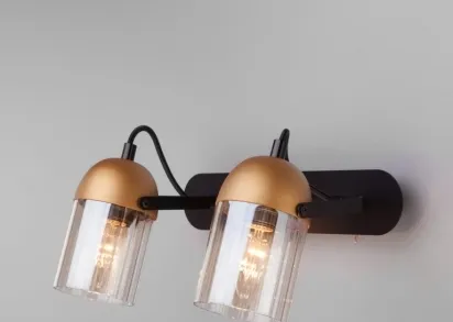 Настенный светодиодный светильник Eurosvet 20122/2 черный/золото