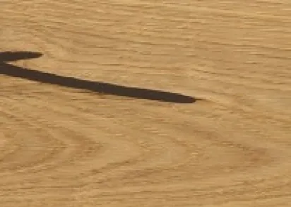 CORKSTYLE Wood XL PrintCork Oak Accent  (Замковое соединение)