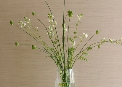 Обои Colefax and Fowler Textured 07179-04