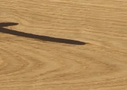 CORKSTYLE Wood XL PrintCork Oak Accent  (Клеевое соединение)