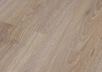 Ламинели Сибирь Дуб Монгольский