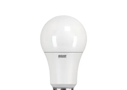 Лампа светодиодная Gauss E27 20W 6500K матовая 23239