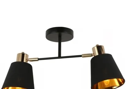 Спот Illumico IL6116-2COU-79 BK GD