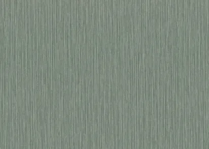 Обои Rasch Metal Spirit 977240