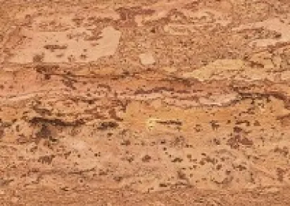 CORKSTYLE NaturalCork Comprido  (Клеевое соединение)