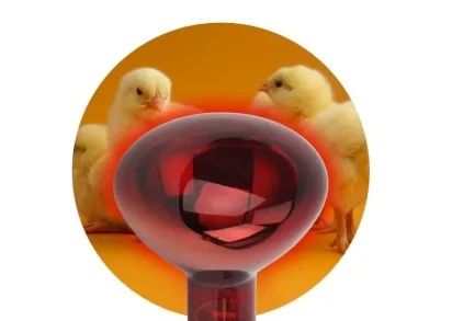 Лампа инфракрасная ЭРА E27 150 Вт для обогрева животных и освещения ИКЗК 230-150 R127 Б0055441