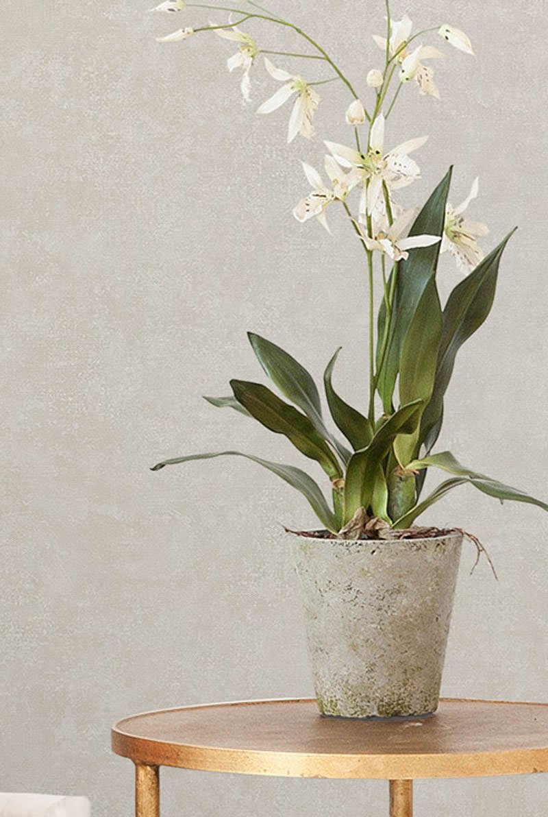 Обои Sirpi Academy a tribute to Gustav Klimt 25666