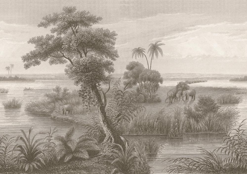 Обои Rasch Lirico 556155